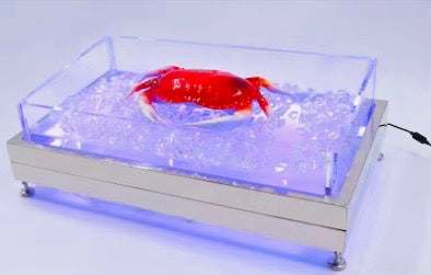 LumiChill™ LED Electric Buffet Cooling-Ice Display| Premium Catering|Drinks Station